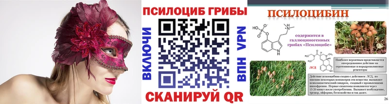 хочу наркоту  ОМГ ОМГ онион  Псилоцибиновые грибы GOLDEN TEACHER  Родники 